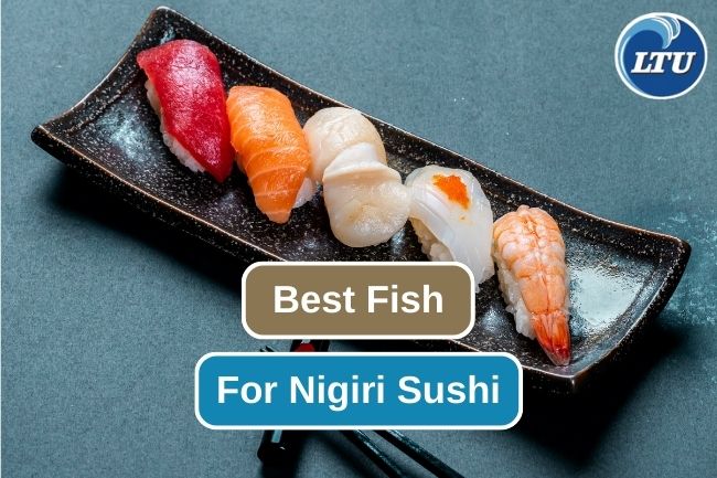 Top Fish Choices for a Nigirizushi Adventure